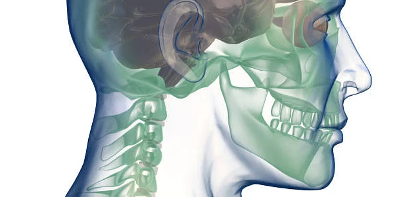 Head x_ray Blick nach rechts